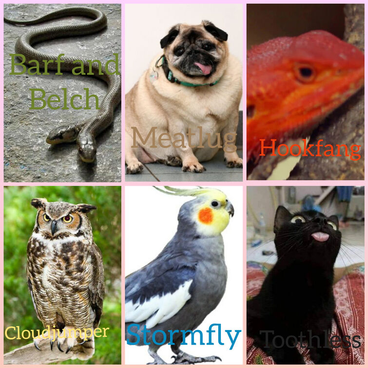 My Image 32