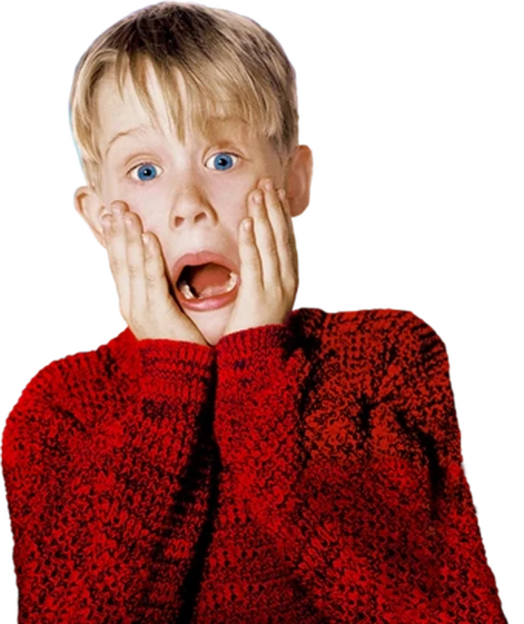 NPG Proposal: Kevin McCallister | Fandom