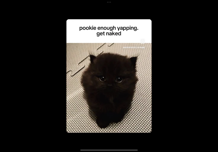 Is this bannable ( a link form monkey d amogus Fandom