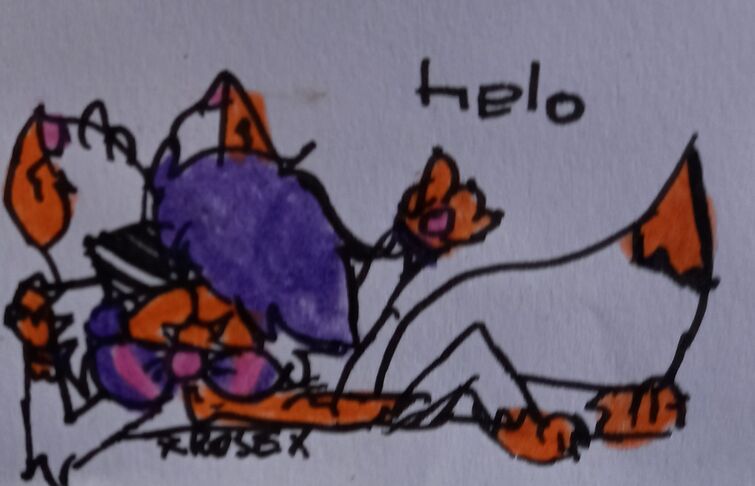 Fandom Image