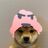 AdrianDellaa's avatar