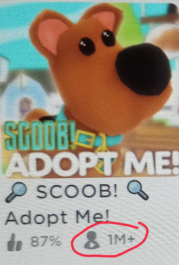 Roblox Adopt Me Brown Bear