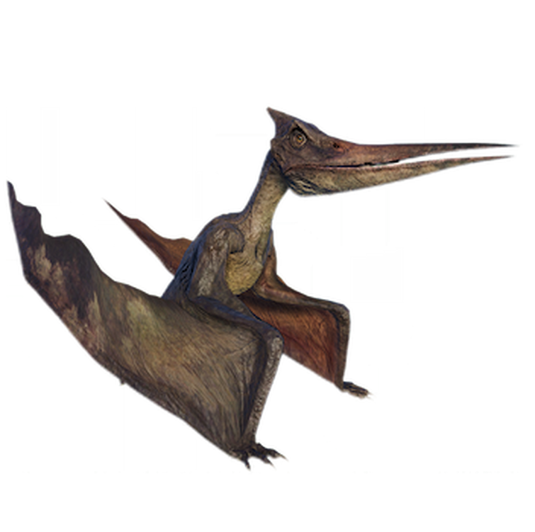 Птеранодон. Птеранодон jwe2. Эволюция птеранодона. Jurassic World Evolution Pteranodon. Жила на свете птеранодон