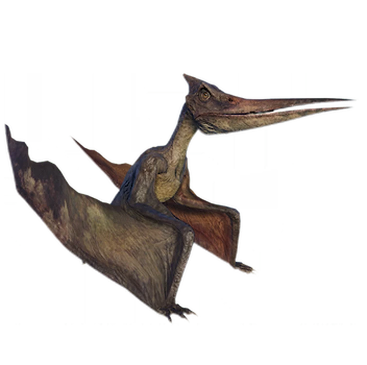 Седло птеранодона в арк уровень. Птеранодон jurassic world evolution 2. пинкфонг птеранодон. шайни птеранодон. седло для птеранодона арк.