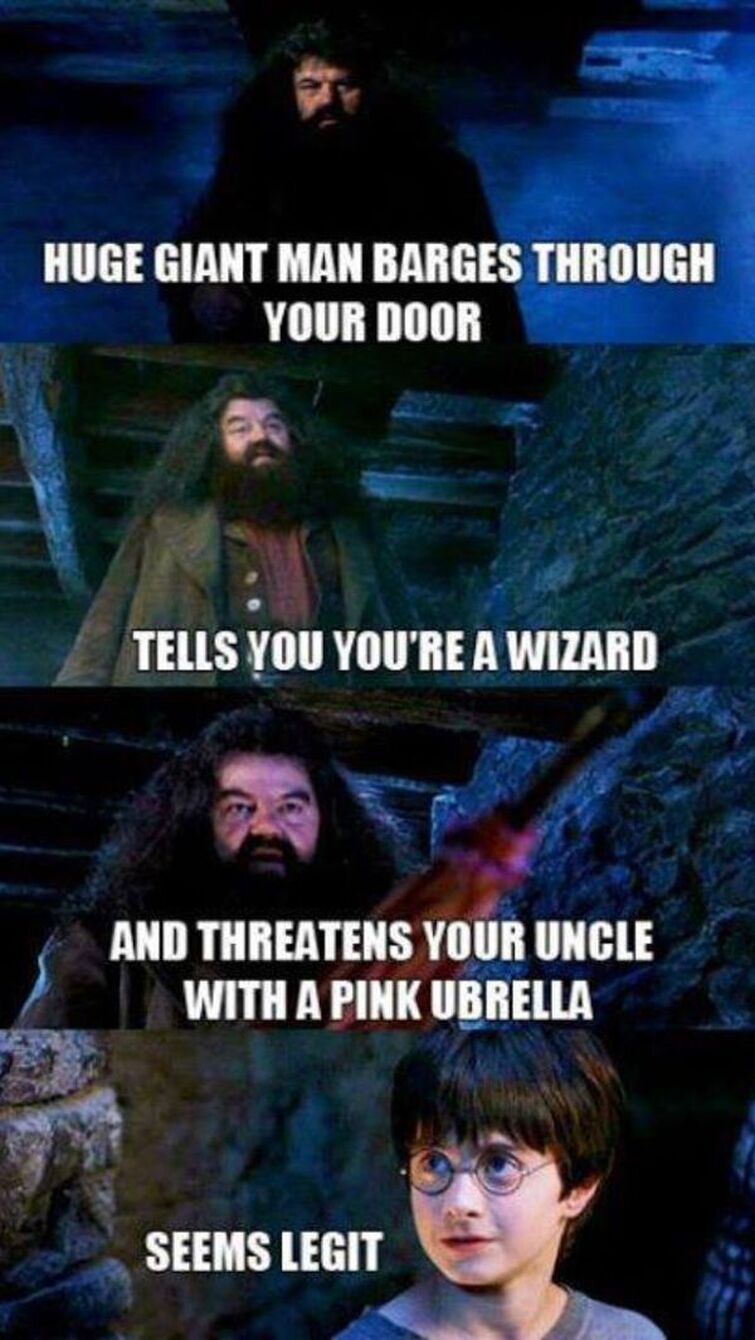 Just my immense collection of HP memes