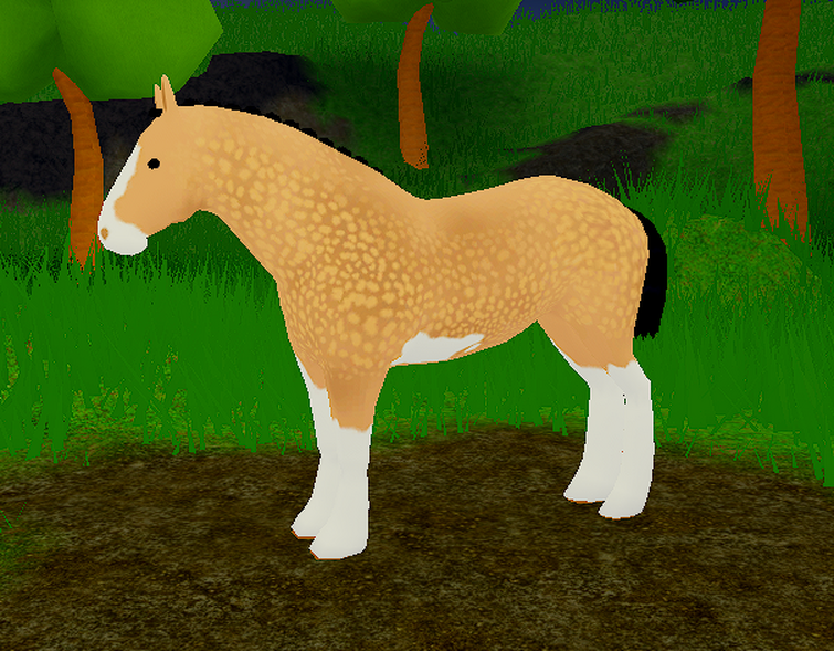 Clydesdale World - Lets Play Roblox Horse Heart Online Horses Game Play  Video 