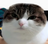 Omagawd420's avatar