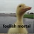 The Immortal Duck's avatar