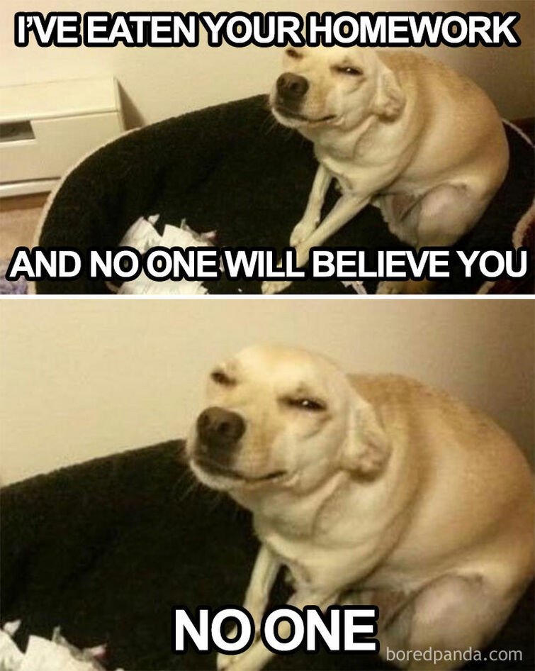 when-your-dog-eats-your-homework-fandom