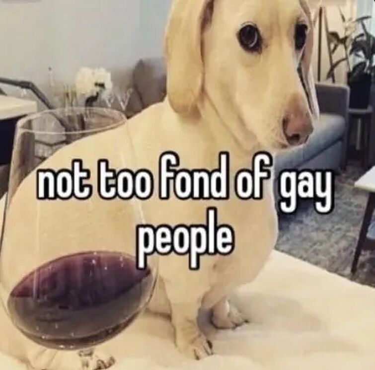 homophobic dog Fandom