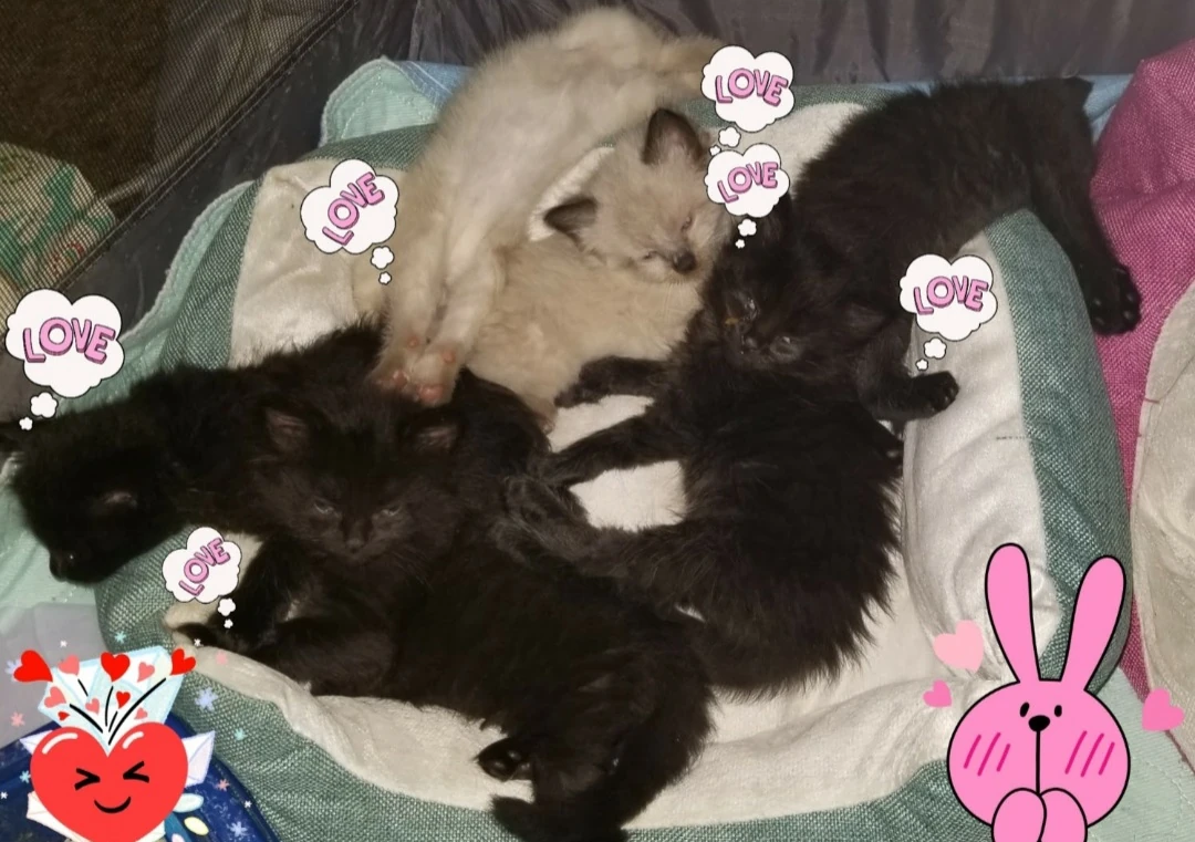 Born Two Years Ago Today Fandom