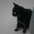 Ich02ds Profilbild