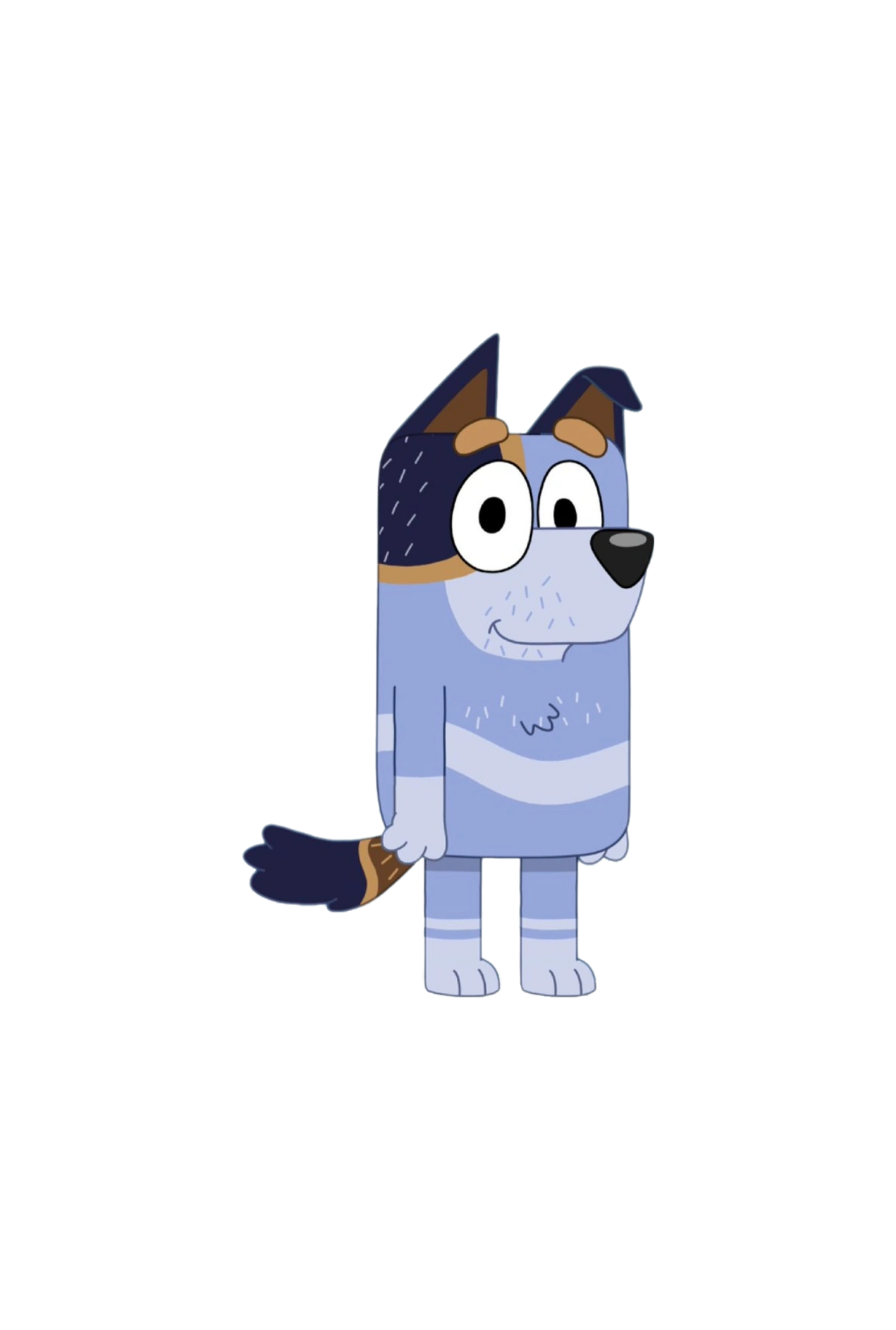 Bandit Heeler Voice Actor 01 - mswhn8w