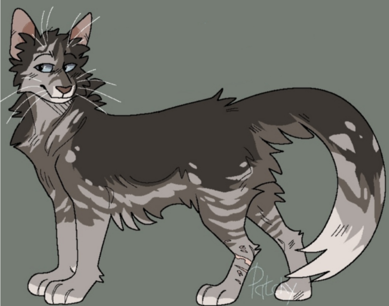 Коты воители из роблокса. Коты воители айла. Кошка warrior cats ultimate. Коты-воители / warrior cats roblox. Коты воители роблокс.