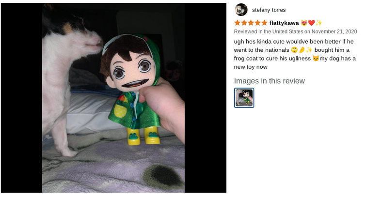 Fandom Image