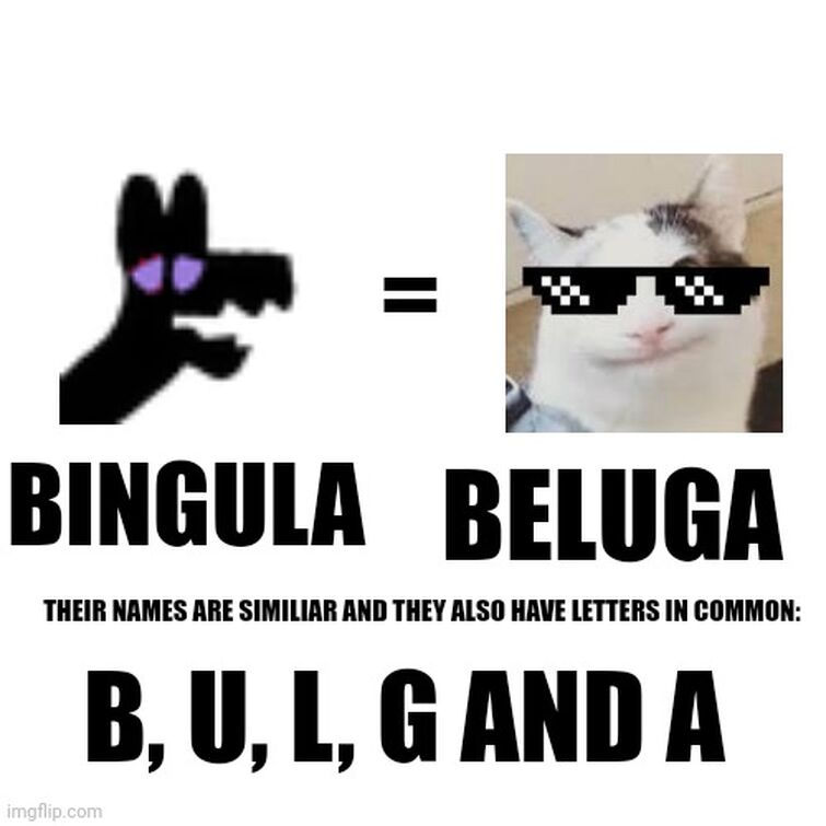 Beluga cat Memes - Imgflip