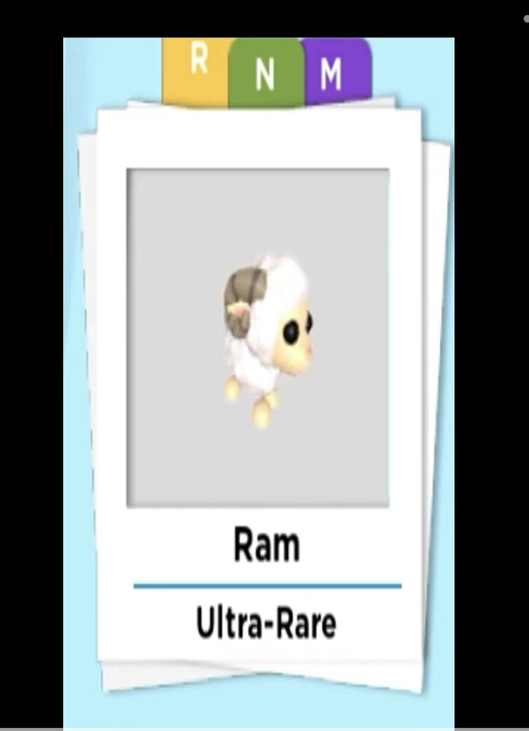Ram, Adopt Me! Wiki