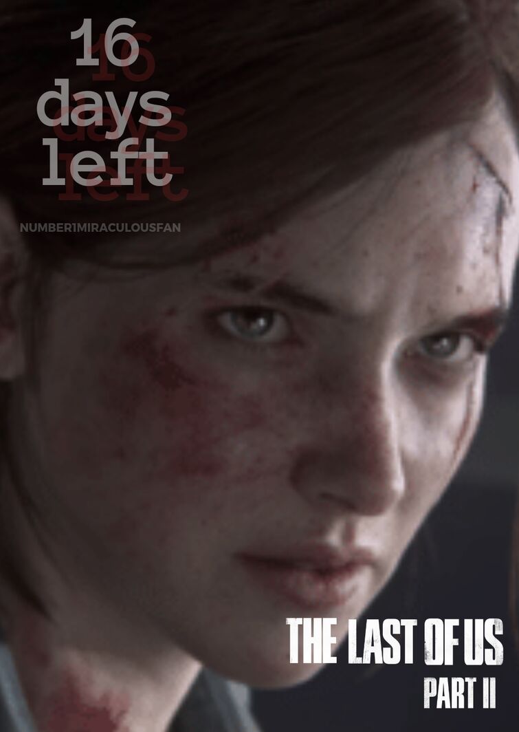 How Many Days Are In The Last Of Us Part 2?