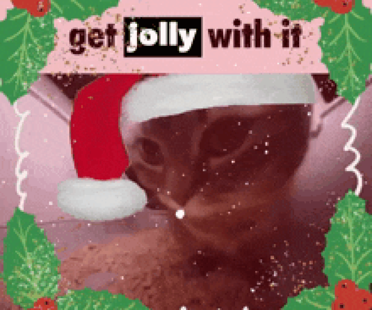 RE: Using GIF, what do you want from Santa?