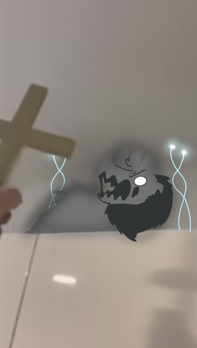 Rush cat with rabies gets crucifix'd