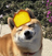 LemonBreadOnHead's avatar
