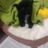 Avatar de Isaias R