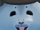 AdrianEdits