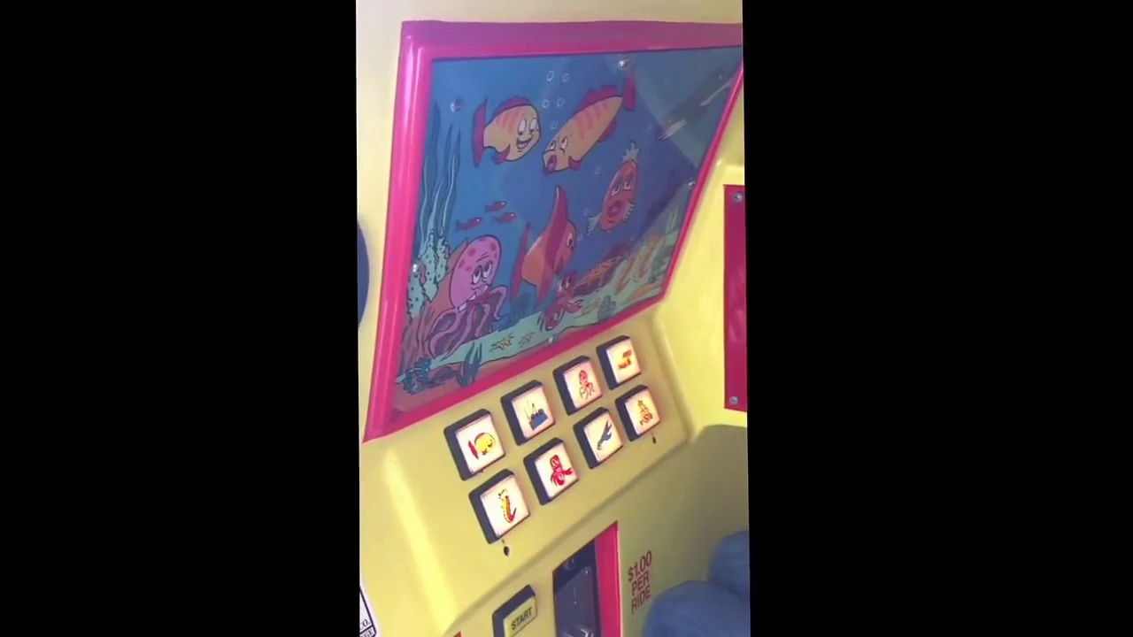 Flounder quotes Fandom