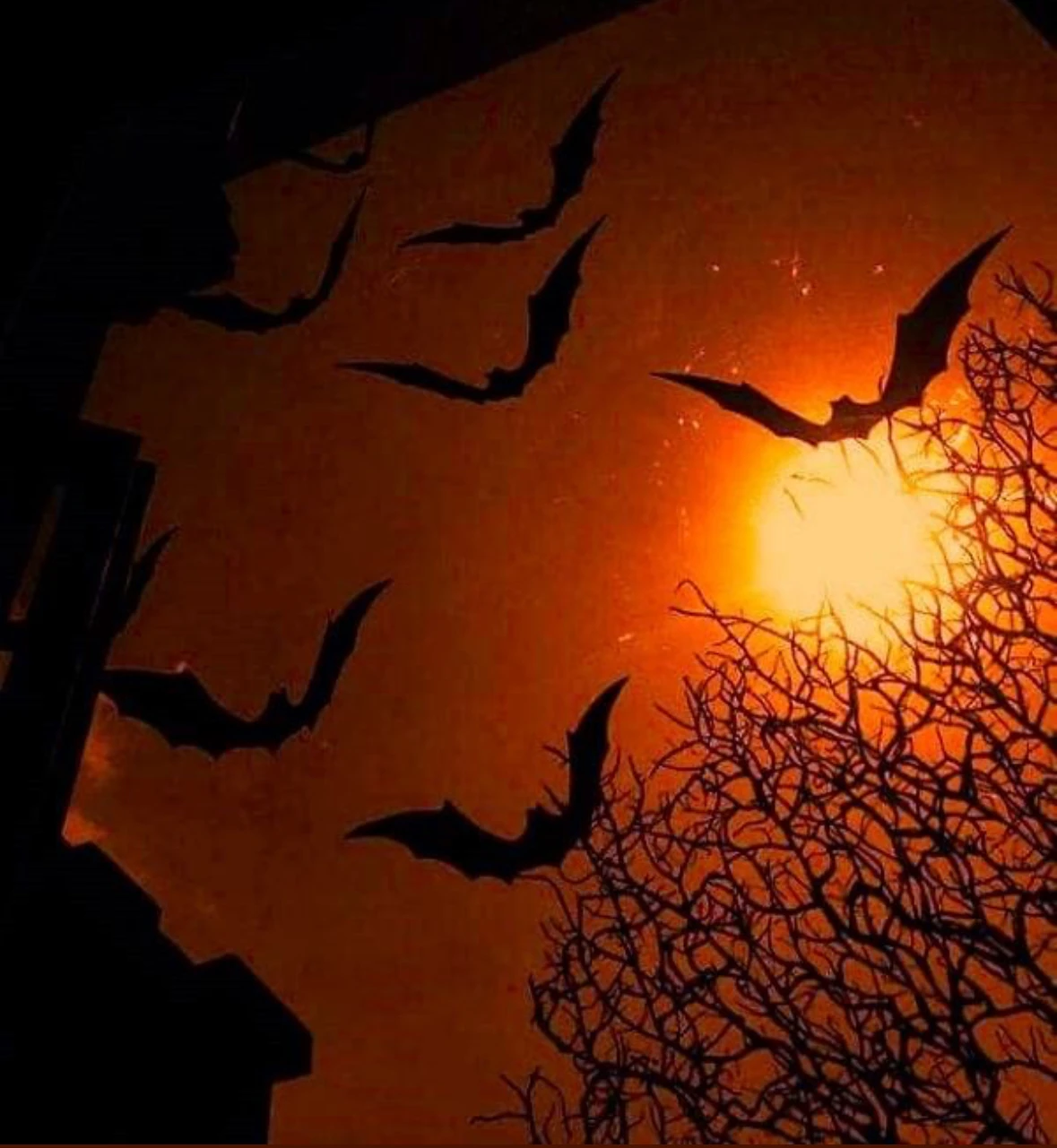 🎃🦇 October Off-Topic Thread 🦇🎃 | Fandom