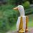 WeirdBananaDuck's avatar