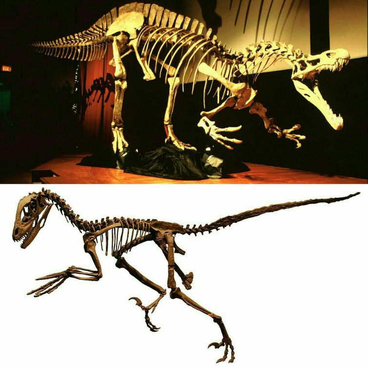 Deinonychus, Dinopedia