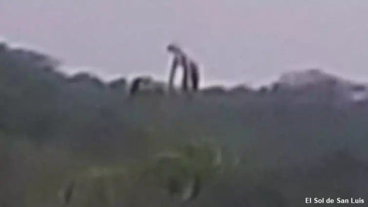 Discuss Everything About Cryptid Wiki | Fandom
