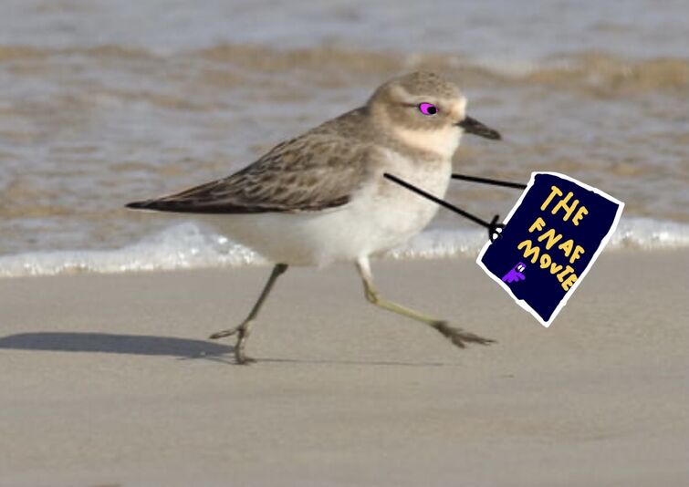 Fandom Image