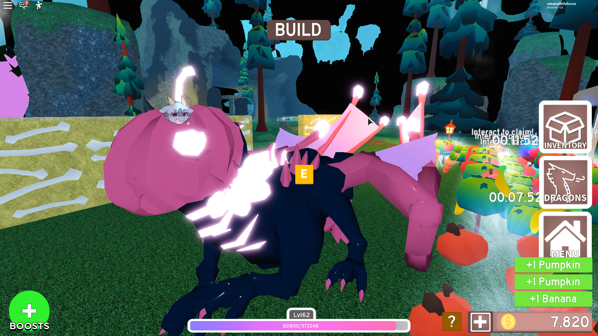 Looking For A Female Mother Dragon With Neat Colors Fandom - enkylous dragon adventures roblox