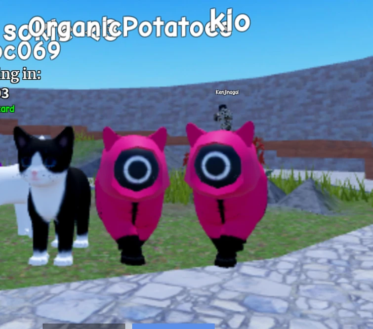Kitty! | Fandom