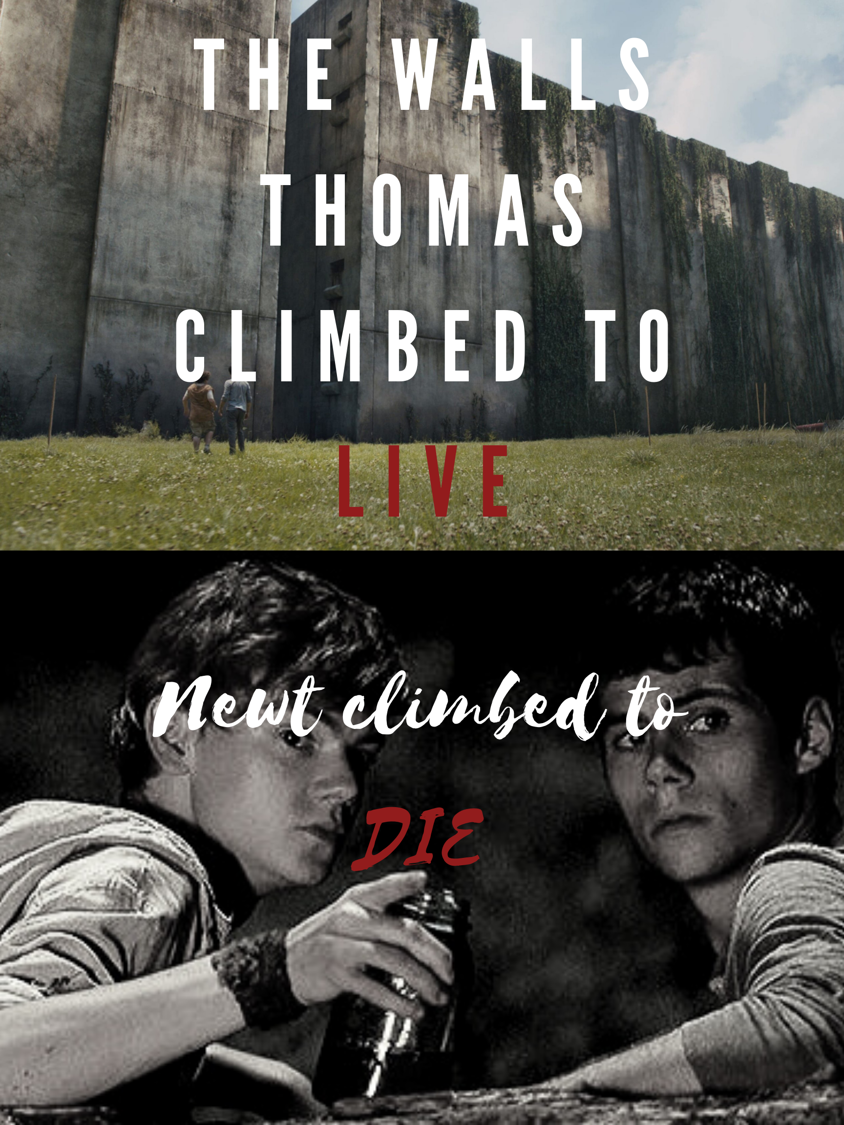 Discuss Everything About The Maze Runner Wiki Fandom