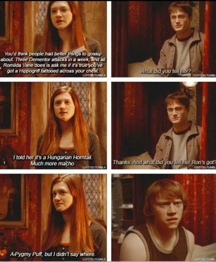 I laughed so hard at this remembering reading it in the books