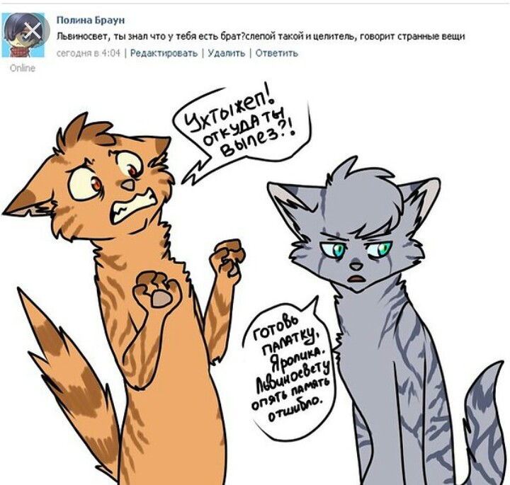 Картинки с приколами и мемами коты воители Лайны" Fandom
