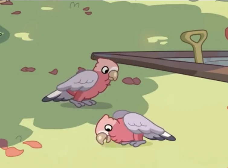 Trying to recognize birds in Bluey Fandom