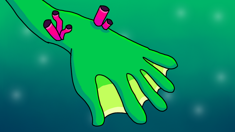 Fandom Image