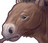 Aranryanchampion's avatar