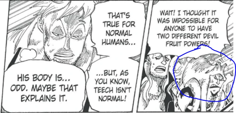 Discuss Everything About One Piece Wiki Fandom