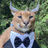 Yoirboi's avatar