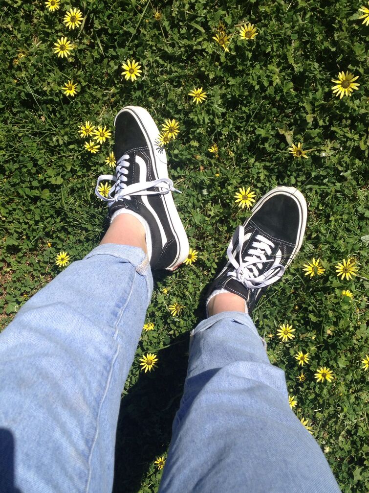 does anybody know the vans aesthetic? | Fandom