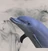 Dolphin2048's avatar