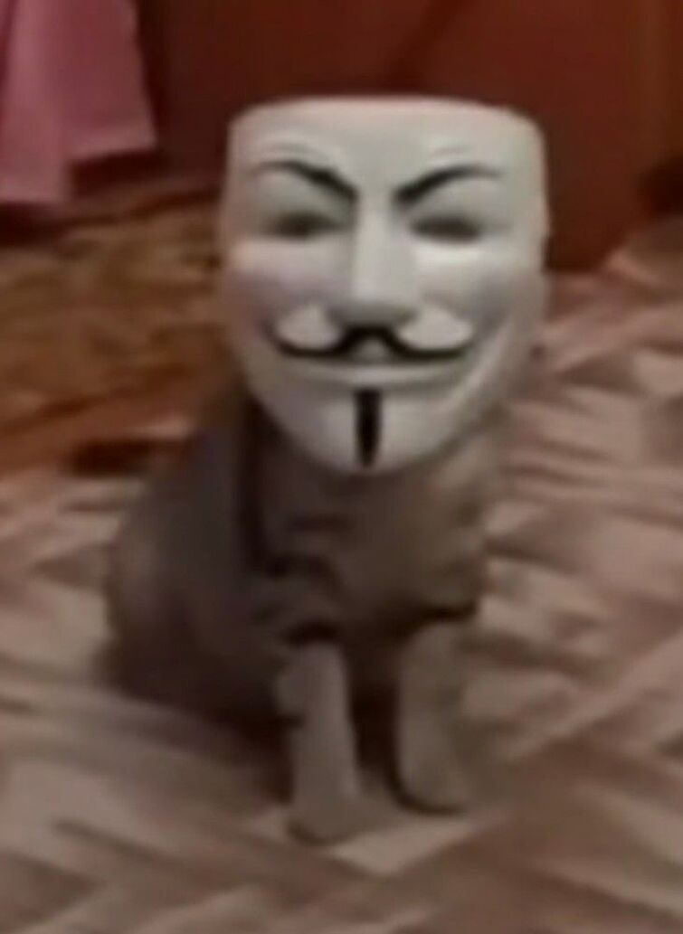 Fandom Image