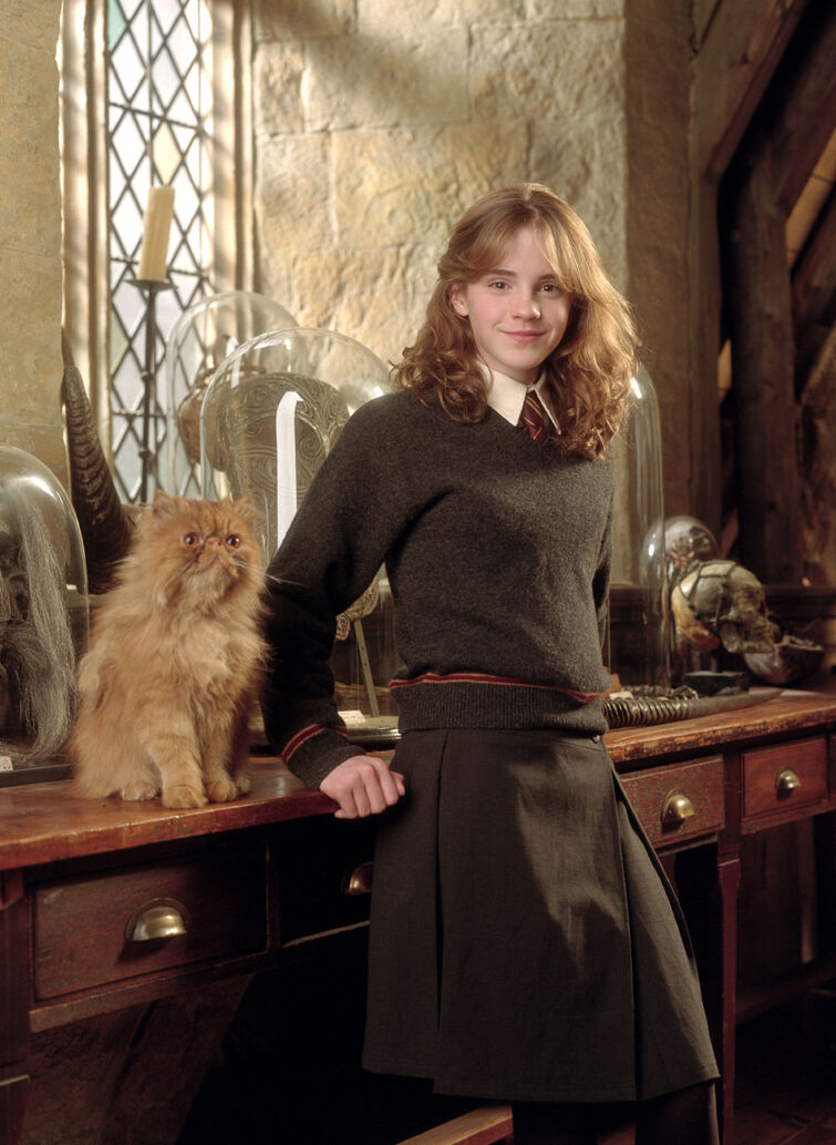 harry potter and the prisoner of azkaban hermione