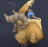 Asdfawr's avatar