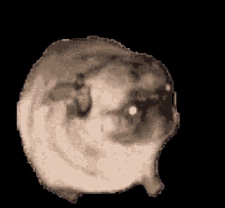 fnaf jet jaguar Fandom