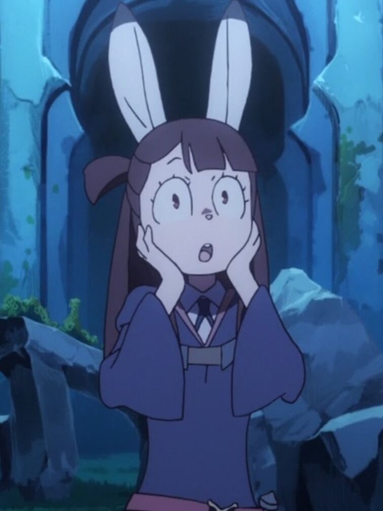 Akko fairy silent